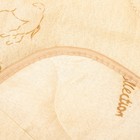 Одеяло многоигольная стежка Верблюжья шерсть 140х205 см 150 гр, пэ, конверт - Фото 3