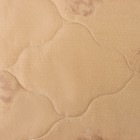 Одеяло «Верблюжья шерсть» 140х205 см, цвет МИКС - Фото 2