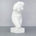 Гипсовая фигура Торс Афродиты (Венеры), 18 х 18 х 42 см - фото 8704604