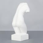 Гипсовая фигура Торс Афродиты (Венеры), 18 х 18 х 42 см - Фото 3