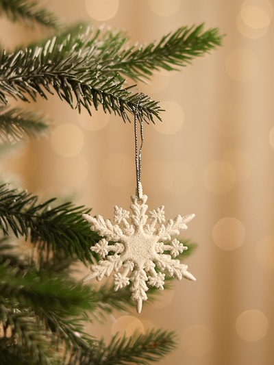 Ёлочные игрушки набор 6 шт. «Зимнее волшебство. Снежинка полярная», d=6 см, белый