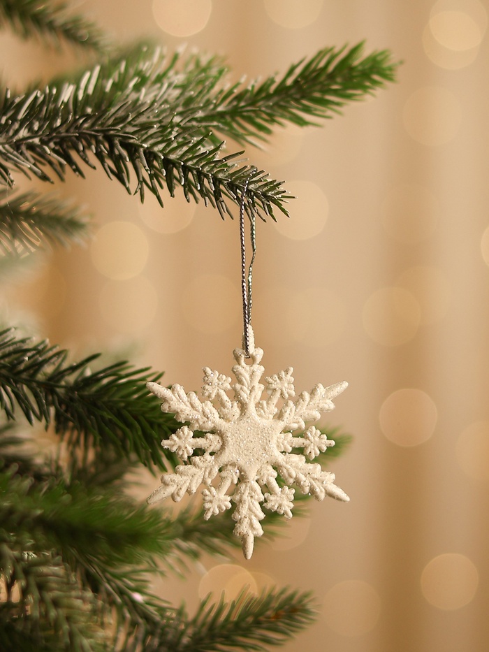 Ёлочные игрушки набор 6 шт. «Зимнее волшебство. Снежинка полярная», d=6 см, белый - Фото 1