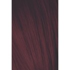 Краситель для волос Igora Absolutes, тон 4-90, средний коричневый, фиолетовый натуральный, 60 мл - Фото 1