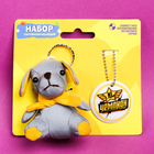 Набор светоотражателей «Чемпион», мягкая игрушка, брелок - Фото 1