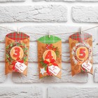 Гирлянда новогодняя «Скоро новый год», с прищепками - Фото 2