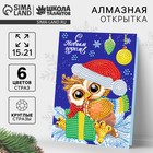 Алмазная мозаика на новый год с частичным заполнением для детей на открытке «Сова», 21 х 15 см, набор для творчества - Фото 1