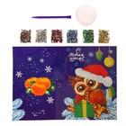 Алмазная мозаика на новый год с частичным заполнением для детей на открытке «Сова», 21 х 15 см, набор для творчества - Фото 3