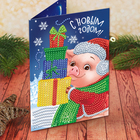 Алмазная вышивка на открытке «Свинка» + емкость, стержень с клеевой подушечкой - Фото 1