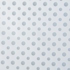 Пленка матовая DOT, белый, 0,5 х 10 м - Фото 2