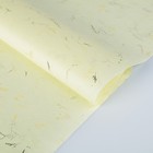 Бумага тутовая, принт ручного изготовления, HANJI, «Листопад» 0,64 х 0,94 м, 30 г/м2 - Фото 1
