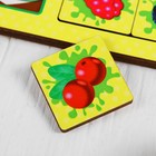Игра настольная «Ассоциации: ягоды, животные, фрукты» - фото 9554303