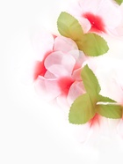 Гавайское ожерелье «Плюмерия», МИКС - Фото 7