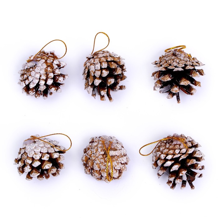 Набор природного декора "Волшебные шишки", набор 6 шт. - Фото 1