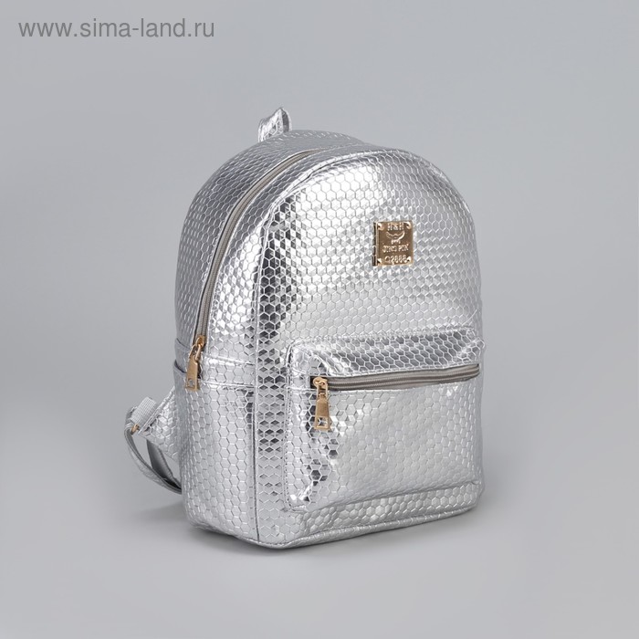 Рюкзак молодёжный, отдел на молнии, 3 наружных кармана, цвет серебристый - Фото 1
