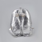 Рюкзак молодёжный, отдел на молнии, 3 наружных кармана, цвет серебристый - Фото 3