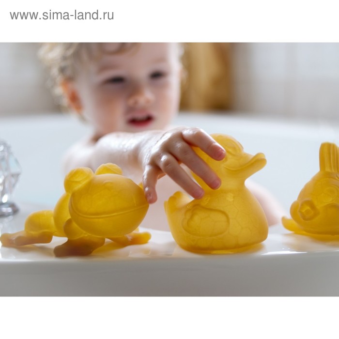 Набор игрушек для ванной из 100% каучука HEVEA Pond