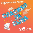 Гирлянда на ленте "Спасибо за сына", длина 215 см, Me to You - фото 8404008