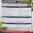 Суспензия Хлореллы БИО-комплекс, 250 мл - Фото 4