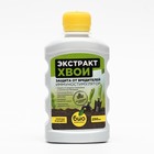 Экстракт Хвои «Био-комплекс», иммуностимулятор, 250 мл - Фото 5