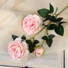 Цветы искусственные "Роза терция" 8х60 см, розовый - фото 10622379
