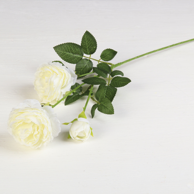 Цветы искусственные «Роза терция», 8×60 см, белые