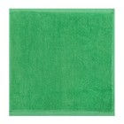 Наб.полотенец в корзинке "Дед Морорз" 30х30 см-2 шт, 100% хл, 300гр/м2 - Фото 5