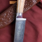 Нож Корд Куруш, рукоять из ореха (сухма), гарда из олова - Фото 2