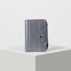 Визитница вертикальная, 1 ряд, 26 листов, крокодил, цвет серый - Фото 1