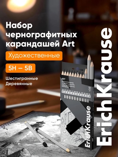 Набор карандашей чернографитных ErichKrause, 12 штук, разной твёрдости, шестигранные, деревянные, серебристый корпус