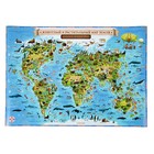 Географическая карта Мира для детей "Животный и растительный мир Земли", 60 х 40 см, без ламинации - фото 299561520