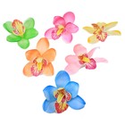 зажим для волос Шик цветочный орхидея баркерия микс - Фото 2