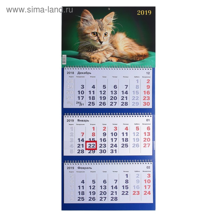 Календарь квартальный, трио "Кошки - 1" 2019 год, 31х69см - Фото 1