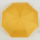 Зонт полуавтоматический «Цветочки», проявляющийся рисунок, 3 сложения, 8 спиц, R = 50 см, цвет жёлтый - Фото 2