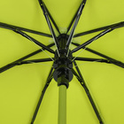 Зонт полуавтоматический «Цветочки», 3 сложения, 8 спиц, R = 50 см, с проявляющимся рисунком, цвет зелёный - Фото 3