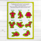 Головоломка «Колумбово яйцо» - Фото 3