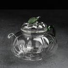 Чайник заварочный со стеклянным ситом «Грин», 700 мл - фото 4249709