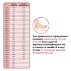 Чешки, натуральная кожа, цвет чёрный, длина по стельке 25 см - Фото 8