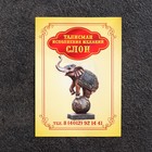 Брелок-талисман "Слон", натуральный янтарь (комплект 5 шт) - фото 25303157