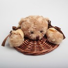 Корзина для белья универсальная плетёная с крышкой Доляна «Медвежонок», 21×21×15 см, цвет коричневый - Фото 3