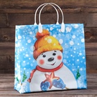 Пакет подарочный новогодний «Снежный друг», мягкий пластик, 30×30 см - Фото 2