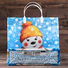 Пакет подарочный новогодний «Снежный друг», мягкий пластик, 30×30 см - Фото 3