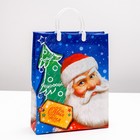 Пакет "Дед Мороз с усами", мягкий пластик, 30 х 40 см, 150 мкм - Фото 1