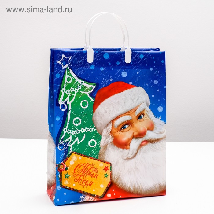 Пакет "Дед Мороз с усами", мягкий пластик, 30 х 40 см, 150 мкм - Фото 1