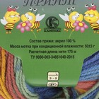 Пряжа "Карамелька принт" 100% акрил 175м/50гр (23325 принт) - Фото 3