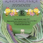 Пряжа "Карамелька принт" 100% акрил 175м/50гр (22324 принт) - Фото 3
