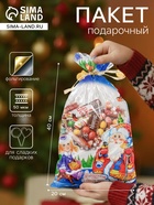 Пакет подарочный новогодний для сладких подарков «Зимняя опушка», 25×40 см - Фото 1