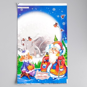 Пакет подарочный новогодний для сладких подарков «Зимняя опушка», 25?40 см (комплект 100 шт)