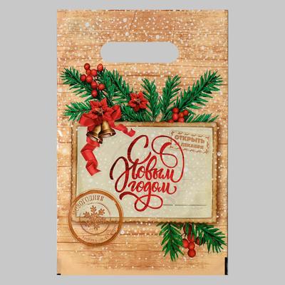 Пакет "Открытка", полиэтиленовый с вырубной ручкой, 20 х 30 см, 30 мкм