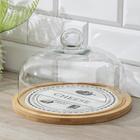 Блюдо с крышкой «Эстет. Сыр», 25×25×17 см - Фото 1