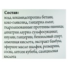 Шампунь «СпивакЪ», бамбук, бессульфатный, для жирных и нормальных волос, 250 мл - Фото 2